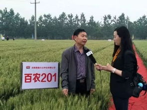 顺鑫大众种业2018小麦新品种观摩推介会郑州盛大举行，引领农作物种子经营新篇章