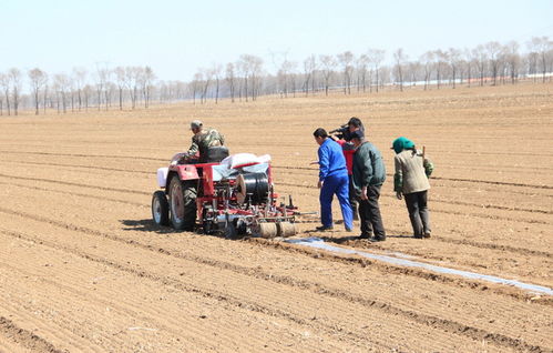 科技赋能农业节水增效 新疆天业辽宁农业节水项目大田粮食作物滴灌系统一次成功运行