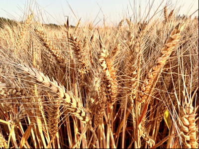 众岱100:不是奇迹是实力